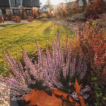 Sniezka Exclusive * 科瓦雷