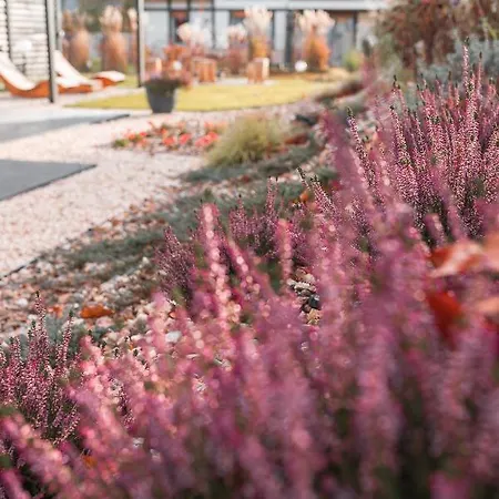 Sniezka Exclusive * 科瓦雷