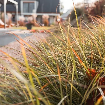 Sniezka Exclusive * 科瓦雷