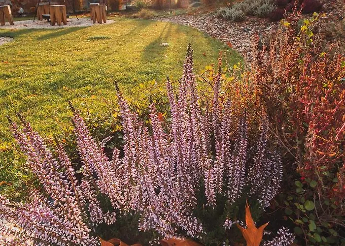 Sniezka Exclusive * Kowary