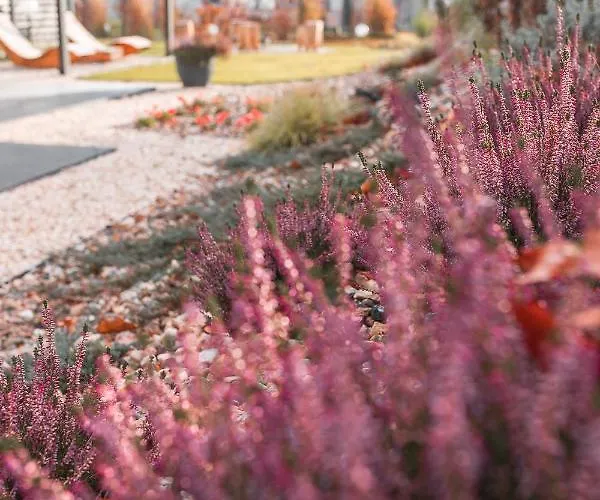 Sniezka Exclusive * Kowary