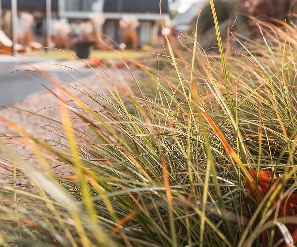 Sniezka Exclusive * Kowary